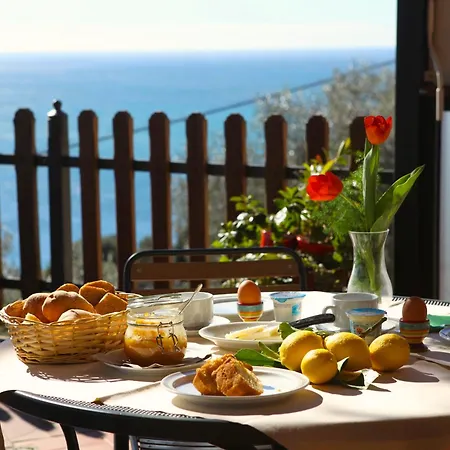 Rosita 2* 피날레리구레