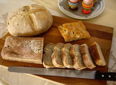 호텔 Rosita